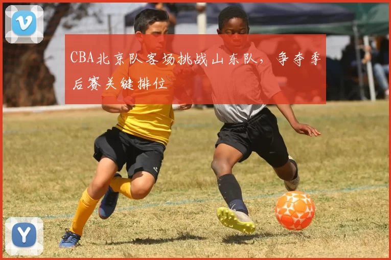 CBA北京队客场挑战山东队，争夺季后赛关键排位