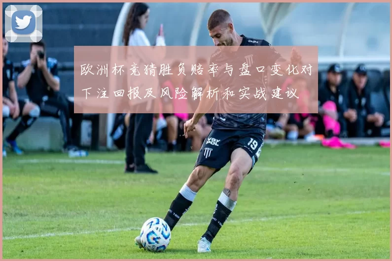 欧洲杯竞猜胜负赔率与盘口变化对下注回报及风险解析和实战建议