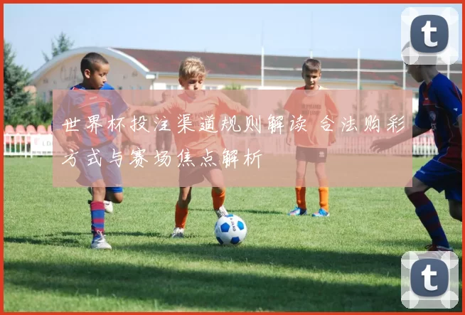 世界杯投注渠道规则解读 合法购彩方式与赛场焦点解析