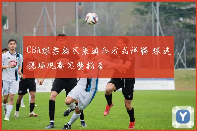 CBA球票购买渠道和方式详解 球迷现场观赛完整指南