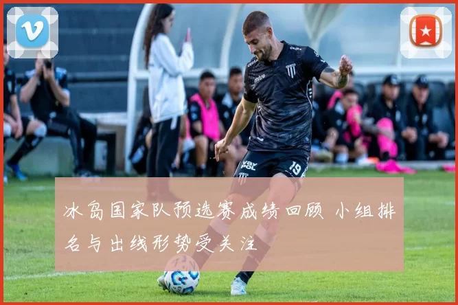 冰岛国家队预选赛成绩回顾 小组排名与出线形势受关注